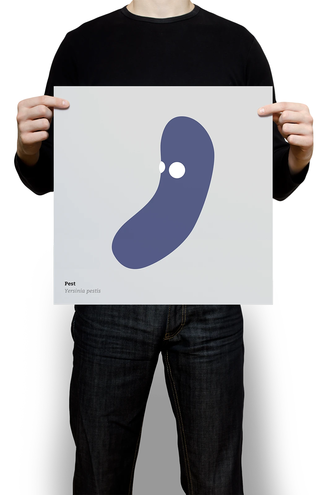 Alexander Glante - Works - Microbees - 05