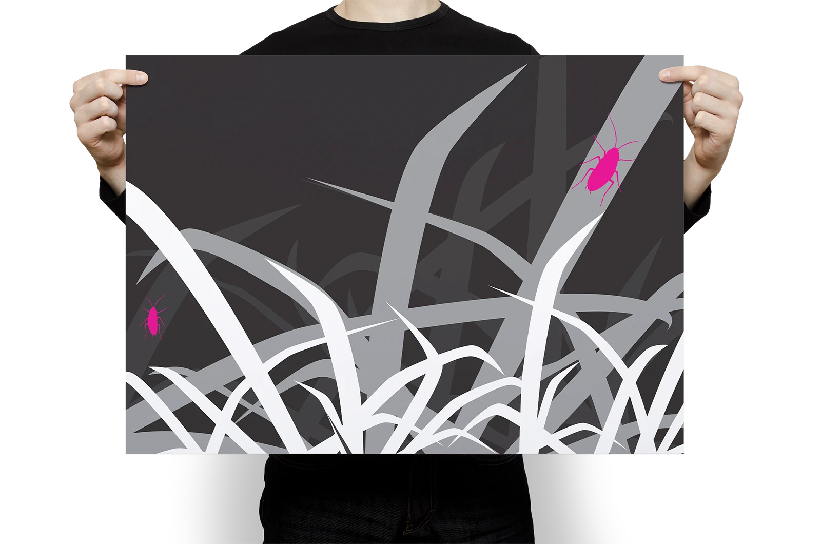 Alexander Glante - Works - Nature Illustrations - 01