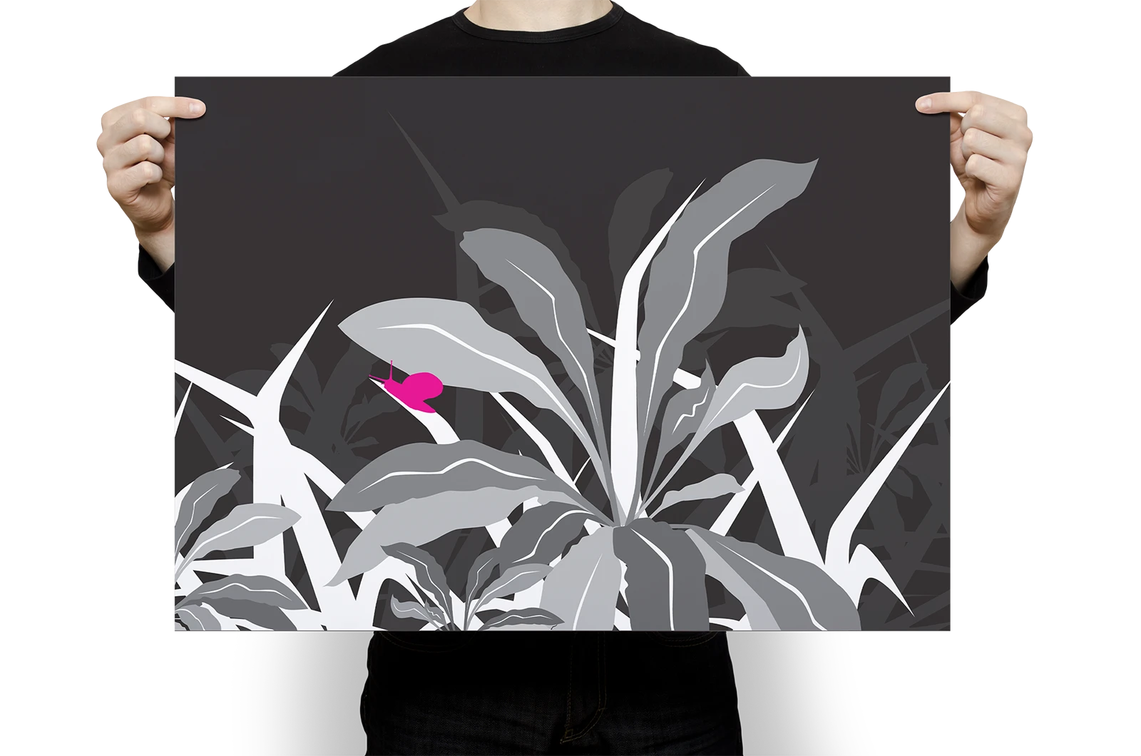 Alexander Glante - Works - Nature Illustrations - 02