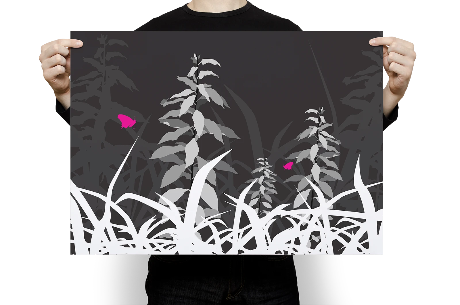 Alexander Glante - Works - Nature Illustrations - 03