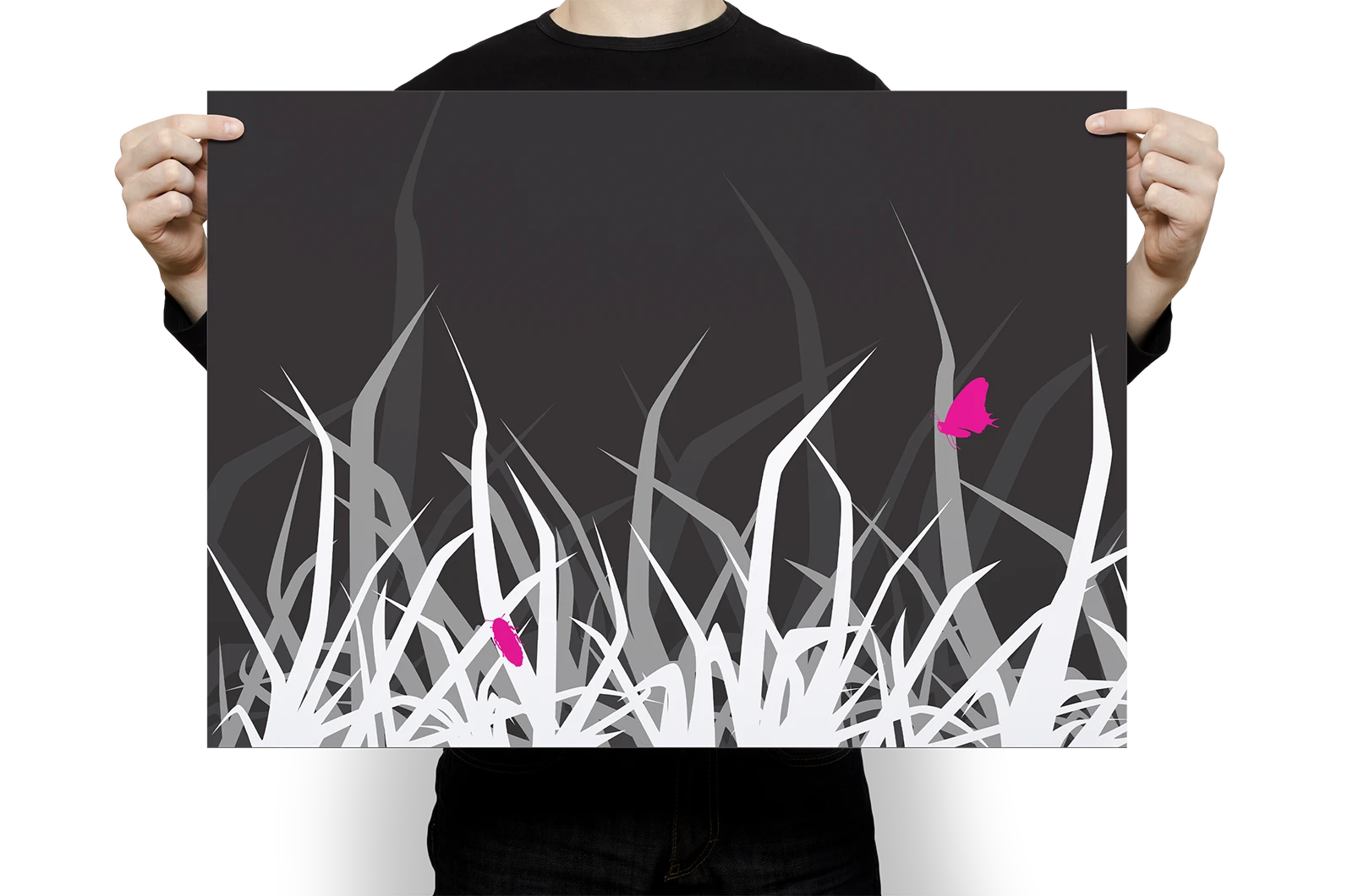 Alexander Glante - Works - Nature Illustrations - 05