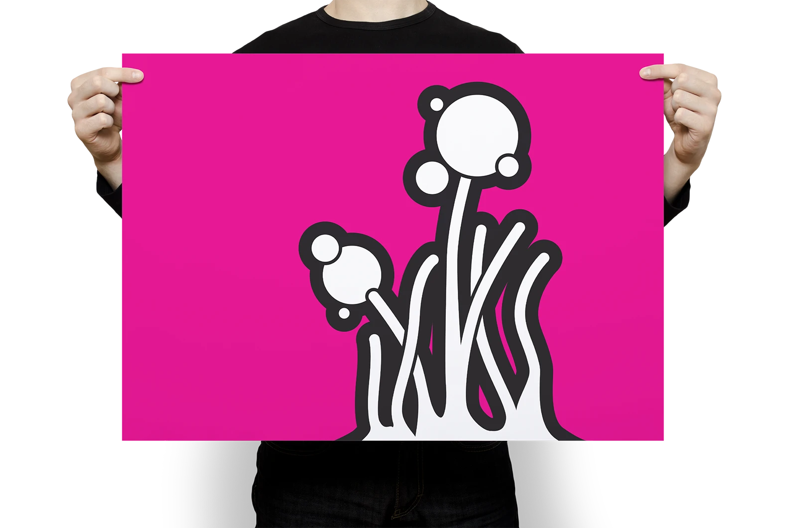 Alexander Glante - Works - Nature Illustrations - 08