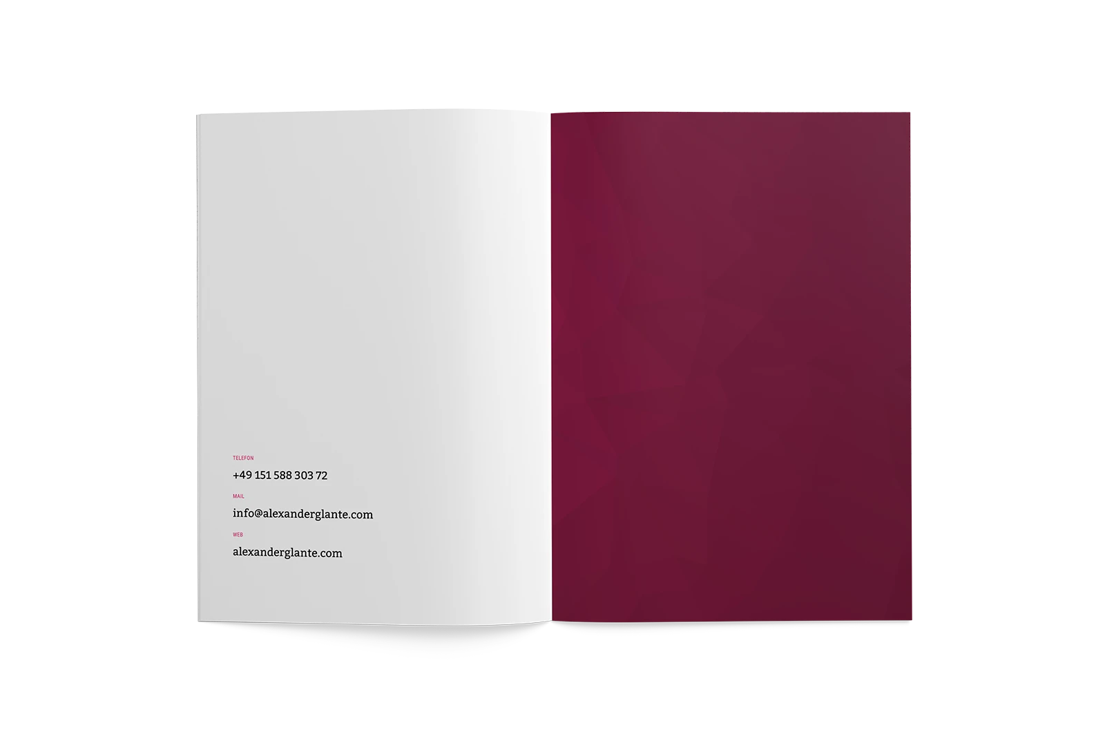 Alexander Glante - Works - Portfolio Brochure - 07