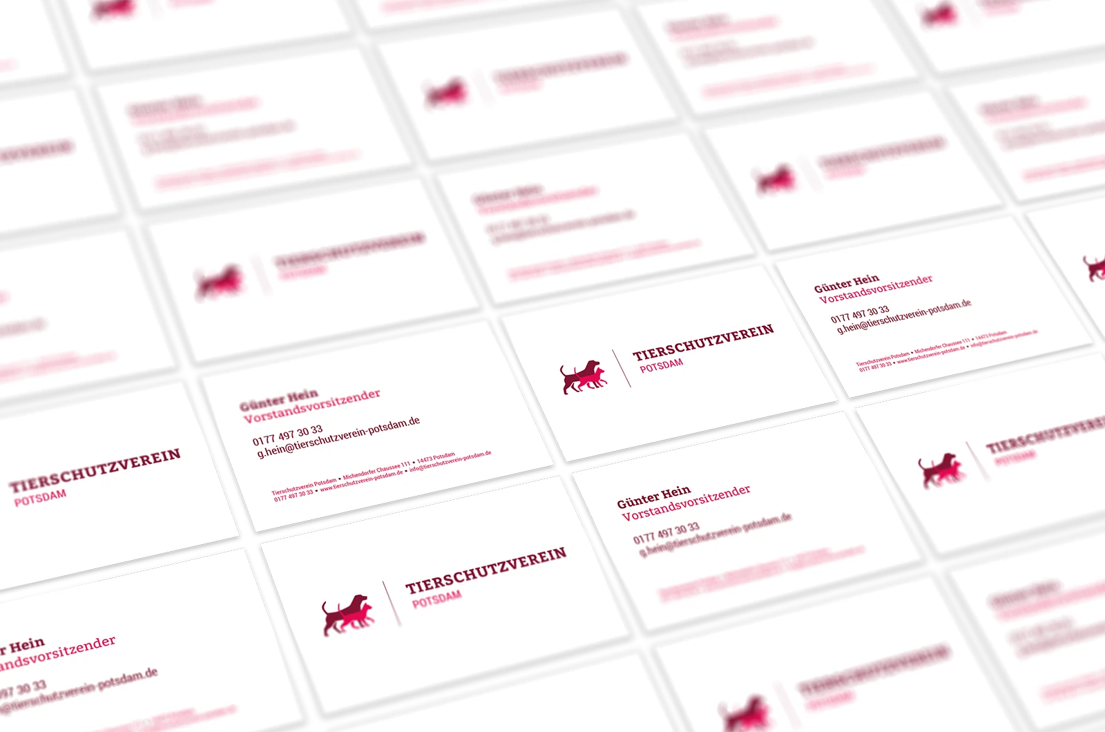 Alexander Glante - Works - Tierschutzverein Potsdam - 04