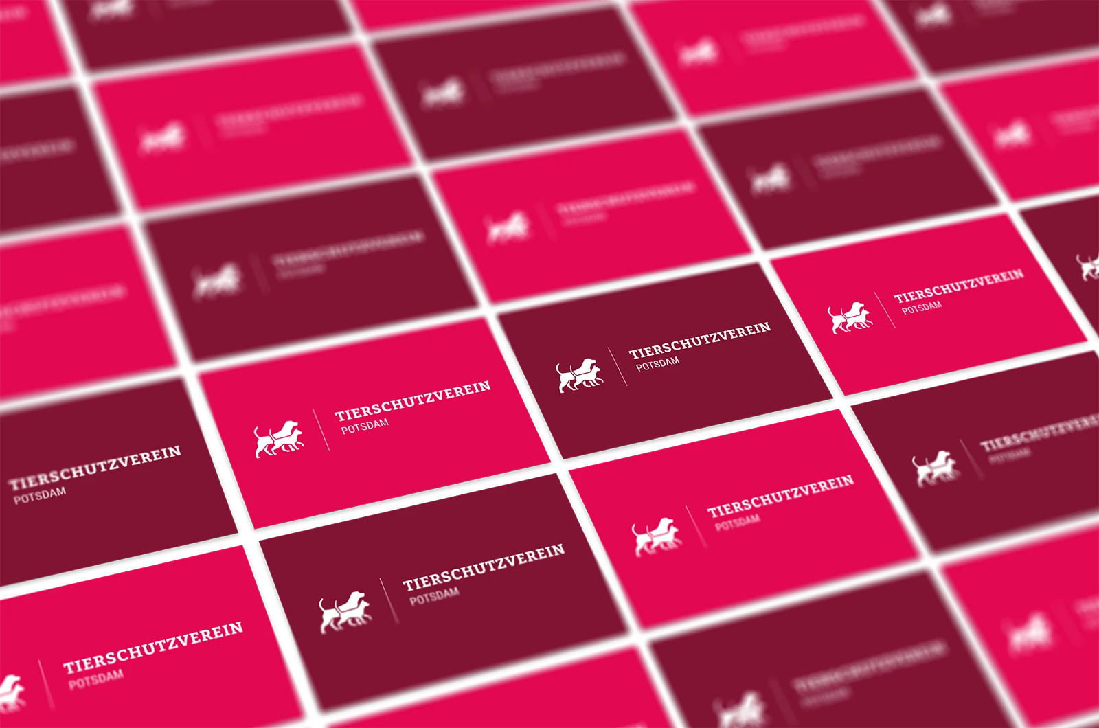 Alexander Glante - Works - Tierschutzverein Potsdam - 06